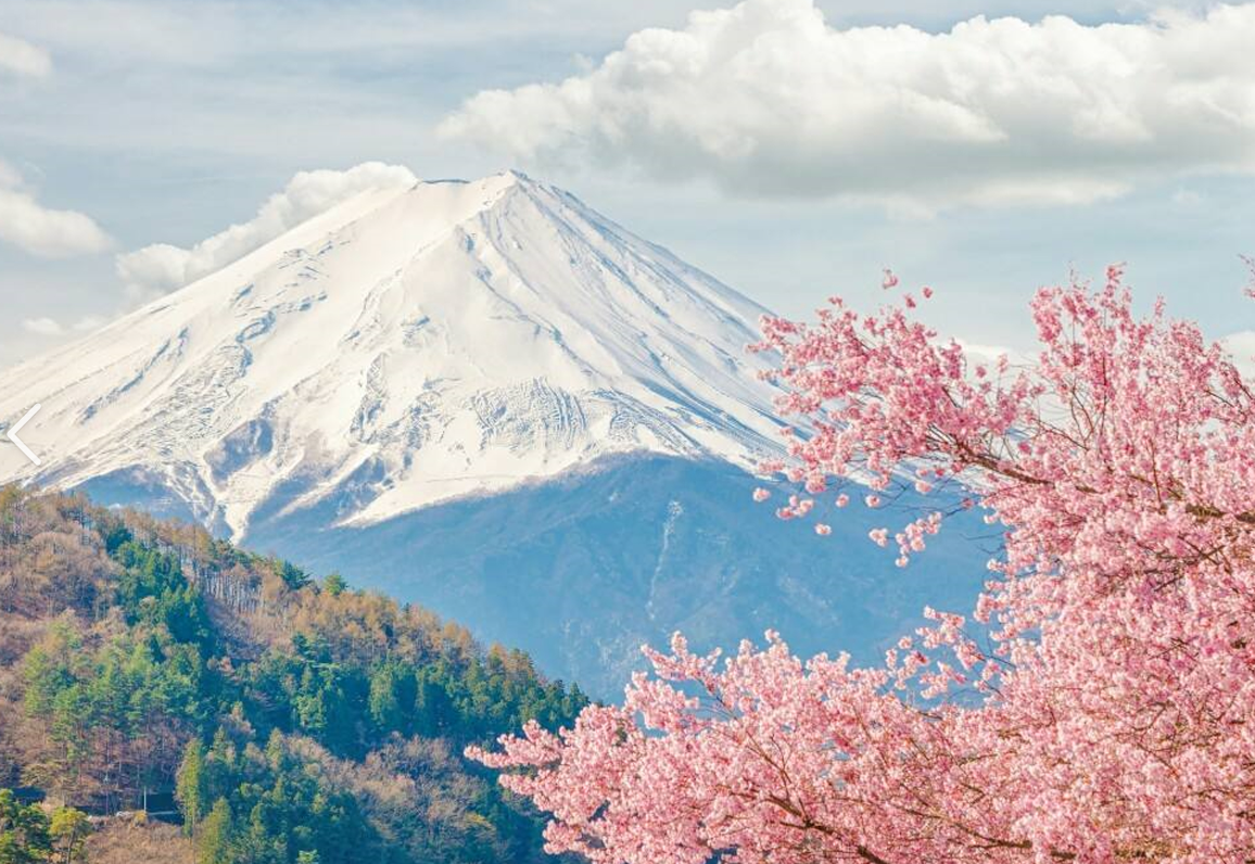 2022年日本二手车出口情况
